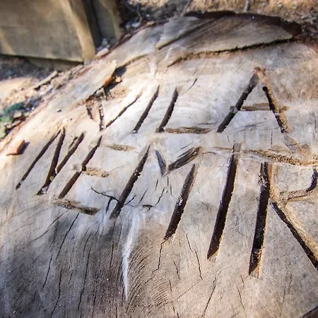 Nemir Zavojsko Jezero 피로트
