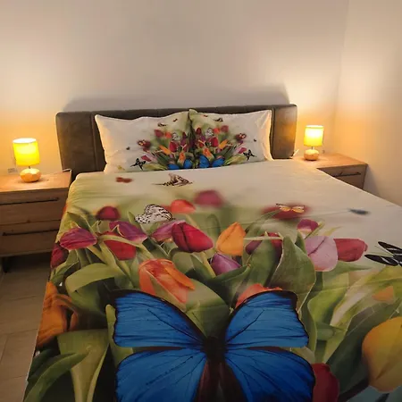 Nemir Zavojsko Jezero 아파트